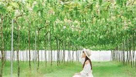 名家專用／台灣旅行趣（勿用）