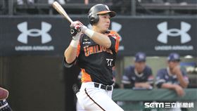 ▲統一獅外野手林安可。（圖／記者劉彥池攝影）
