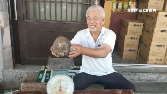 愛犬撲1.5kg怪石　疑稀有龍涎香