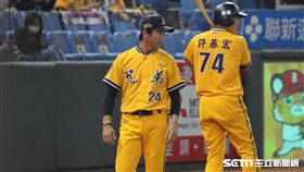 ▲中信兄弟總教練林威助。（圖／記者劉彥池攝影）