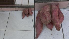 （圖／翻攝自爆怨2公社）