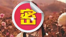 楊麗坤僅出演2部電影，美貌與獨特氣質讓她成為60年代許多人心中的女神。（圖／翻攝自百度百科）