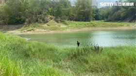 嘉義,蘭潭,水庫,抓交替,田螺