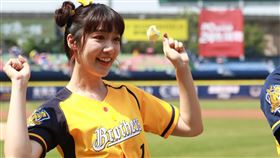 泱泱為兄弟開球、跳應援。（圖／中信兄弟提供）