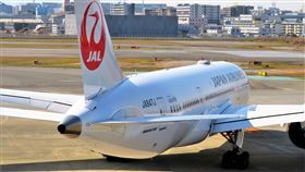 圖／翻攝自Japan Airlines官方臉書