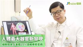 
名家專用／NOW健康／侯泰宇院長早在10多年前開始對細胞間質感到好奇並投入研究，至今已將細胞間質療法運用在病理治療。(勿用)