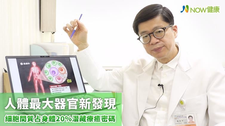 細胞間質潛藏療癒密碼