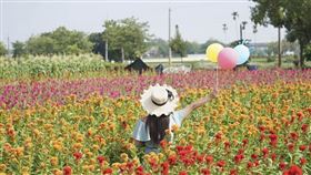 名家專用／台灣旅行趣（勿用）