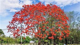 名家專用／台灣旅行趣（勿用）