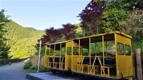 太平山(羅東林管處提供)