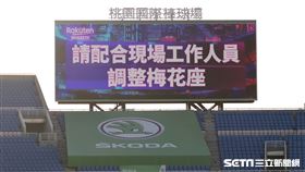▲樂天桃猿11日賽事改為梅花座。（圖／記者劉彥池攝影）
