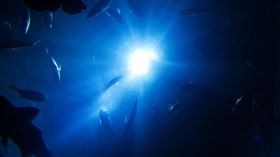 深海。（圖／翻攝自pixabay）