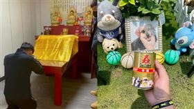 翻攝畫面、邵柏虎臉書