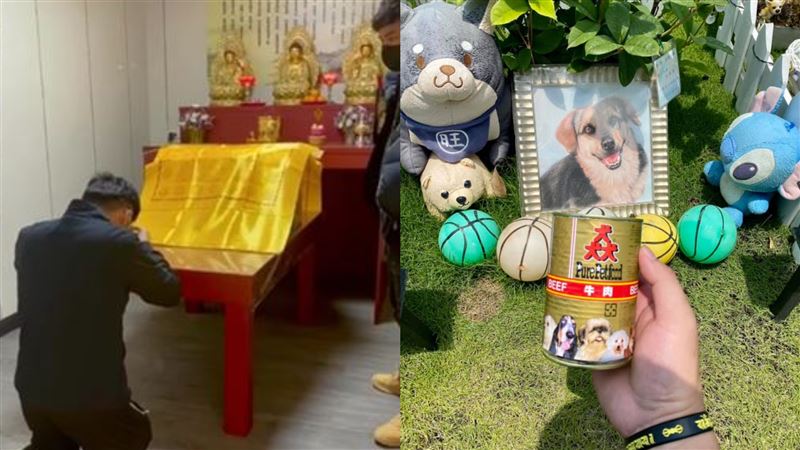 輾死浪犬嗆畜生！男神隱公益懺悔跳票