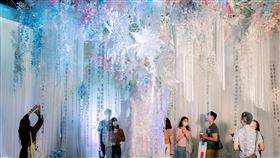 ▲現場以3D光影藝術結合沈浸式體驗設計。（圖／業者提供）