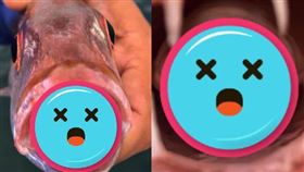 海釣到的魚口中驚見詭異舌頭，有多對足肢，眼睛還閃著藍光。（圖／翻攝自Chris Sequeira推特）