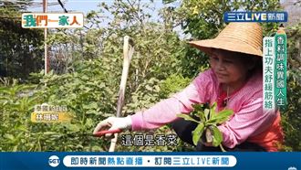 來台21年　她種東南亞無農藥辛香料