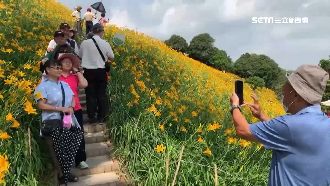 虎山巖花海關園仍開放？主委：怎麼封