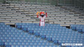 ▲小龍女對著空蕩蕩的看台應援。（圖／記者劉彥池攝影）