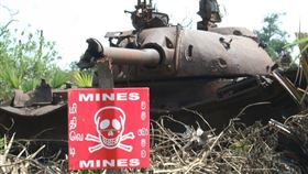 ▲甘比亞鼠；地雷（圖／翻攝自pixabay）