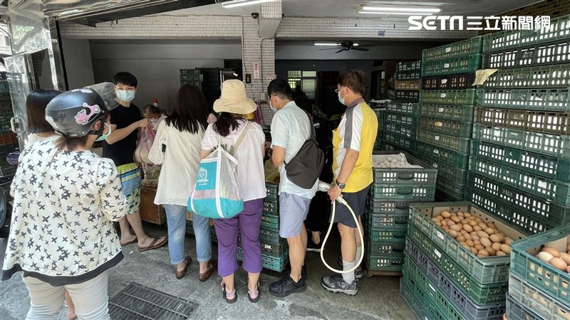 快訊／雞蛋也爆搶購潮　媽：不能沒蛋