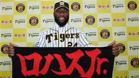 ▲阪神虎Mel Rojas Jr.。（圖／取自阪神虎臉書）