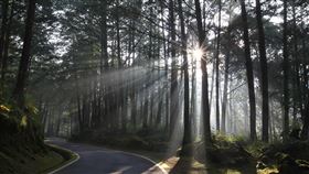 醫事人員12至16日免費遊國家森林遊樂區林務局表示，為感謝醫事人員為防疫所做付出，凡屬醫療法第10條規定醫事人員持相關證明文件者，12日國際護師節起至16日可免費入太平山等14處國家森林遊樂區。（林務局提供）中央社記者楊淑閔傳真  110年5月6日