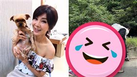 陳美鳳PO出襲臀照，引發網友熱議。（圖／翻攝自陳美鳳臉書）