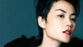 ▲王菲。（圖／翻攝自百度百科）