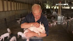 (專案)美國豬飼養1924I1820