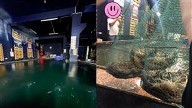 釣蝦,改名,低能兒,台中(翻攝自 沙鹿西海岸釣蝦場 臉書)