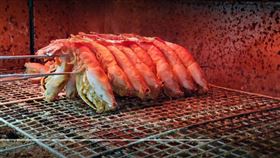 釣蝦,改名,低能兒,台中，老闆，霸氣，(翻攝自 沙鹿西海岸釣蝦場 臉書)