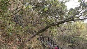 名家專用／台灣旅行趣（勿用）