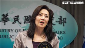 外交部發言人兼公眾外交協調會執行長歐江安。（圖／記者陳政宇攝影）