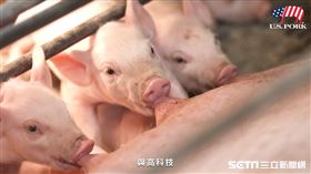 美國豬(業配勿用)