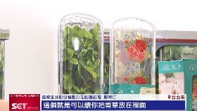 (專案)嘉威台冠軍091119