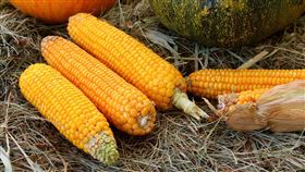 馬鈴薯，玉米，五穀根莖類，蔬菜（圖／翻攝自Pixabay）