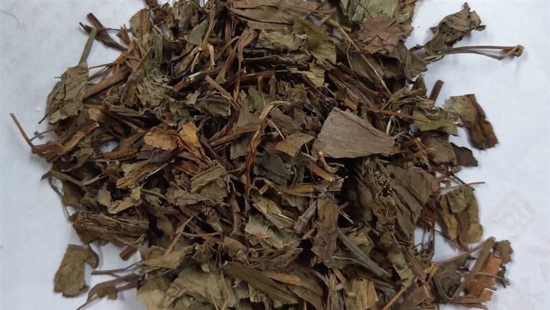 「清冠一號」獲緊急授權　配方長這樣