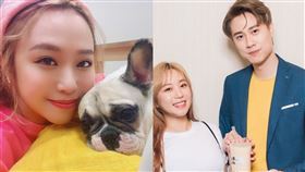 ▲鄭茵聲與劉書宏分手