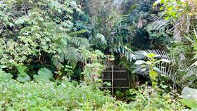 ▲新北市的新店區就曾經有三大煤礦，但如今可能連在地人都說不出是哪三大煤礦了。（圖／i-Media愛傳媒提供）