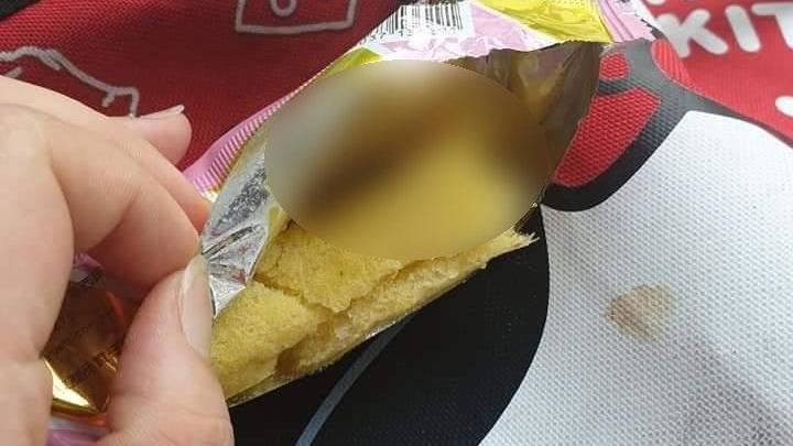 兒子吃玉米棒　一咬驚見：空心夾蟑螂