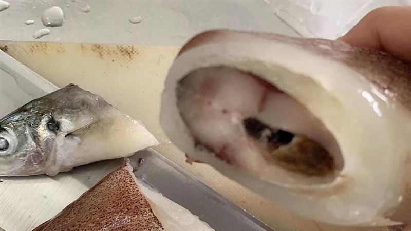 透抽切開見「整條魚」！內行人曝真相