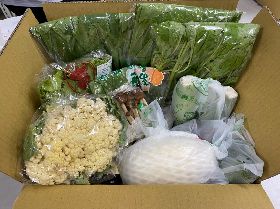 防疫升級帶動宅經濟　網購買菜頻率激增