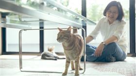 翻攝自蔡英文臉書