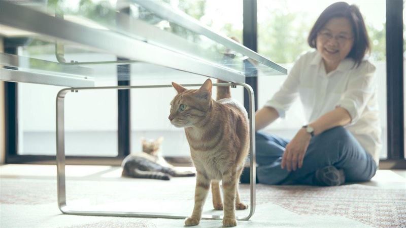 蔡英文的貓狗免篩檢？總統府給答案了