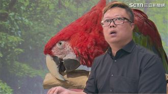 金剛鸚鵡得絕症　到他手中竟出現奇蹟