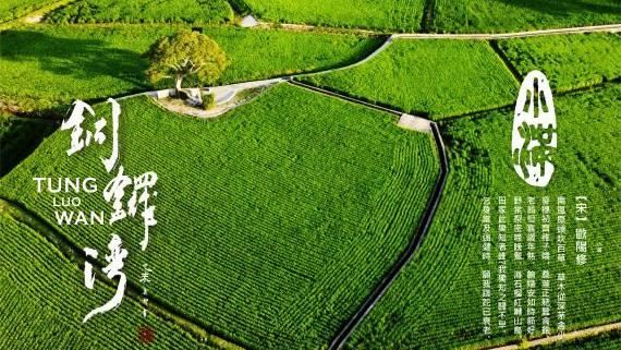 節氣小滿同島一命　他提4點聰明抗疫