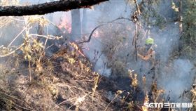 玉山森林大火、山國家公園八通關杜鵑營地大火／林務局嘉義林區管理處提供