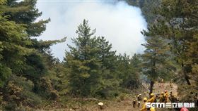 玉山森林大火、山國家公園八通關杜鵑營地大火／林務局嘉義林區管理處提供