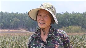 阿美鳳梨，陳謝美瑛（圖／記者廖國安攝影）
